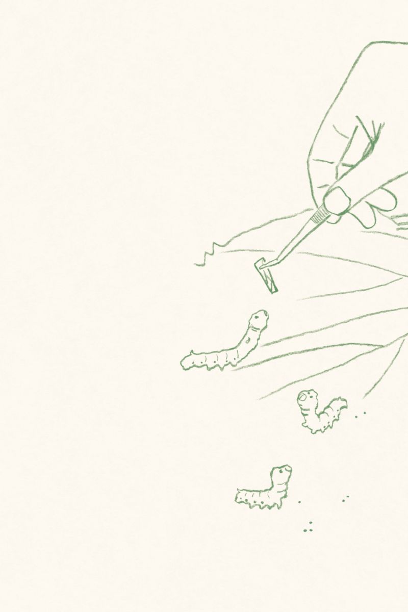 안녕, 나의 아름다운 미물들