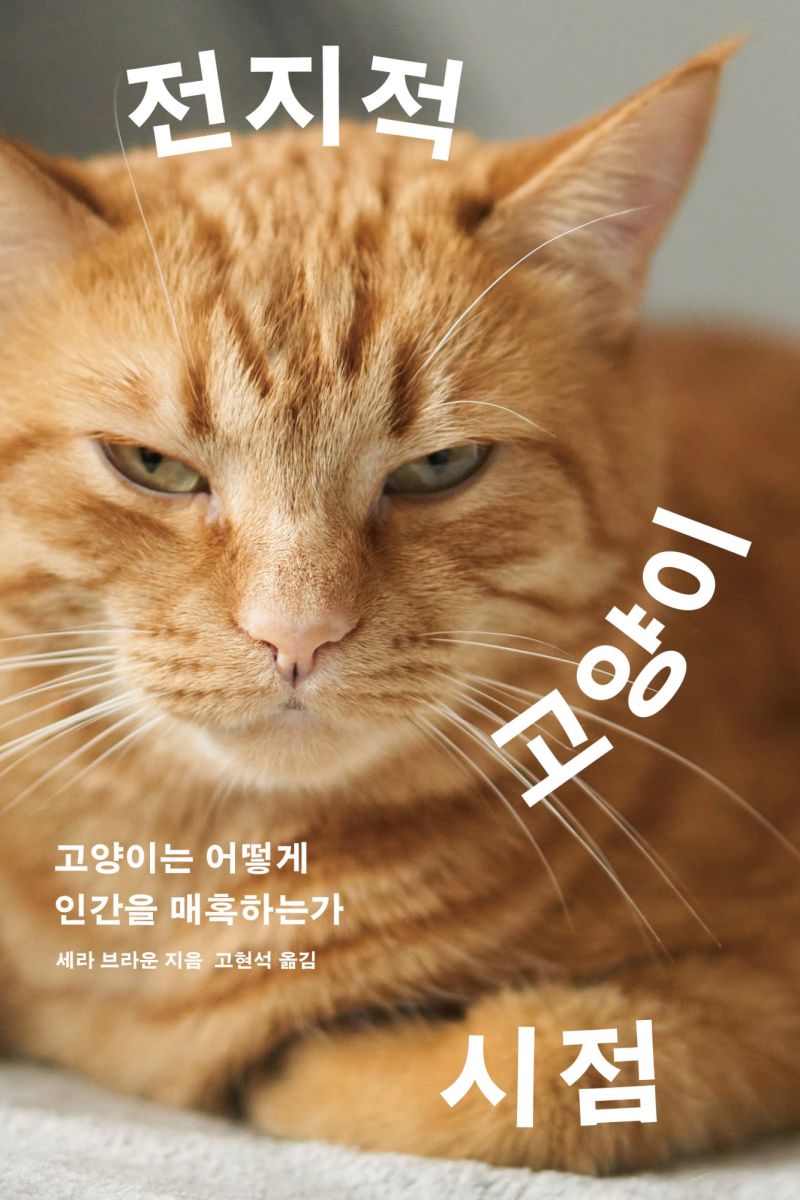 전지적 고양이 시점