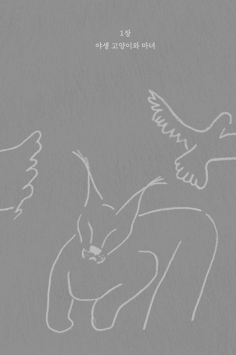 전지적 고양이 시점